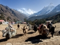 Everest_003a