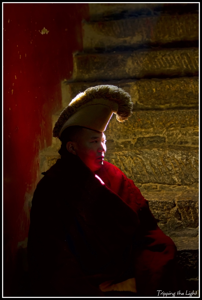 Enlighten Monk