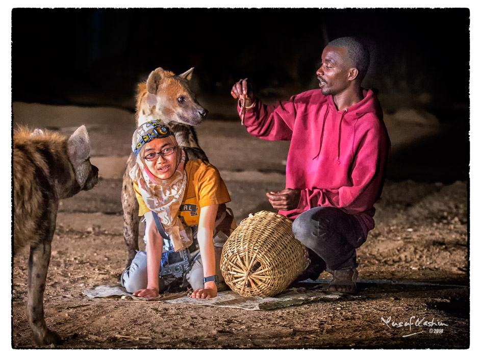 A Hyena propped himself on sally’s shoulders to get at a piece of meat offered by the Hyena Man …
