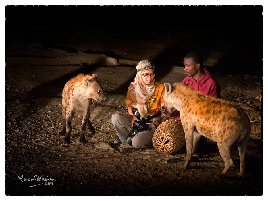 Sally, one of the participants of our PhotoSafari to Ethiopia, was brave enough to go up and sit next to the Hyena Man as he fed the wild Hyenas.