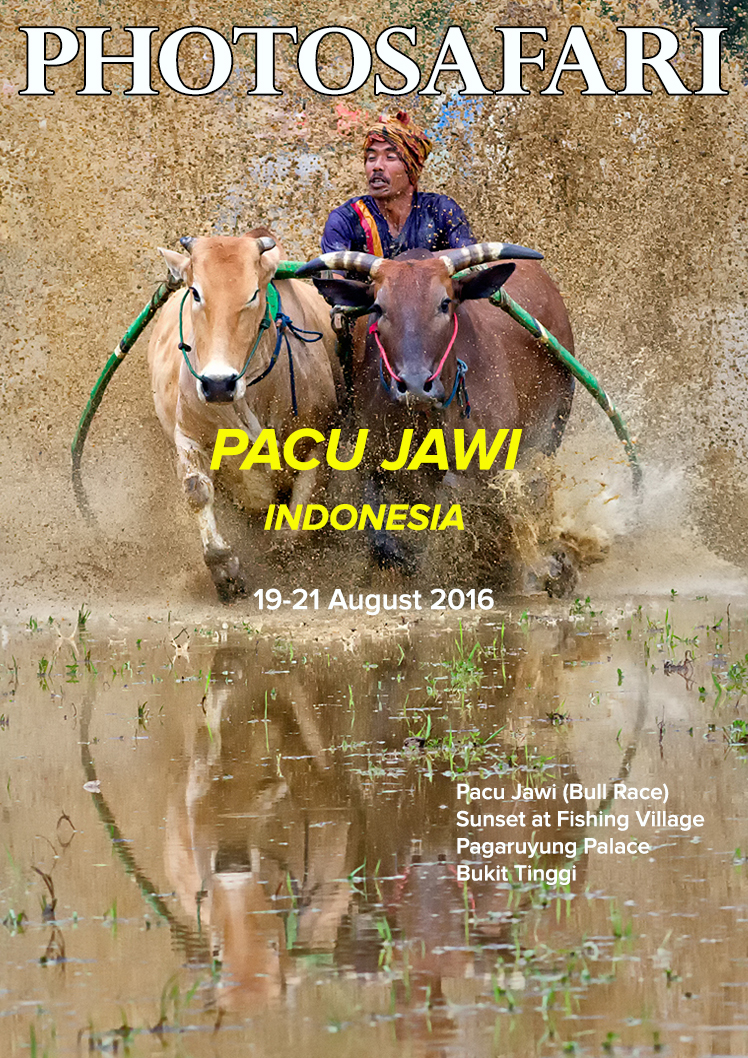 This is Pacu Jawi Event was organised for our members by popular demand. It is held in August 2016