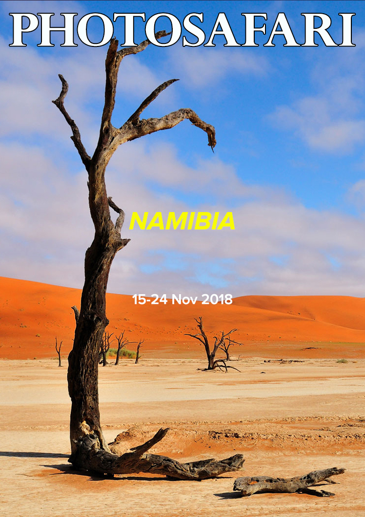 Photosafari_page_Namibia_2018